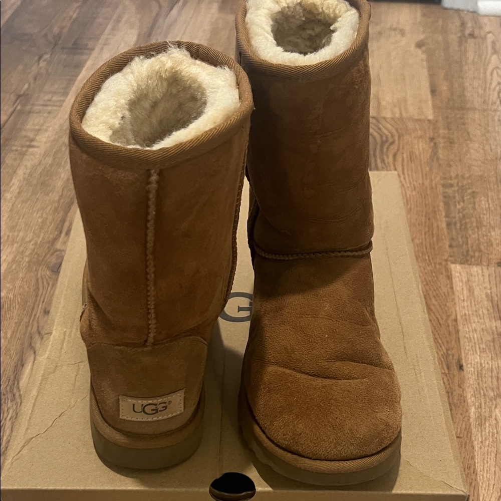 UGG Chestnut Winter Boots with Soft Lining
